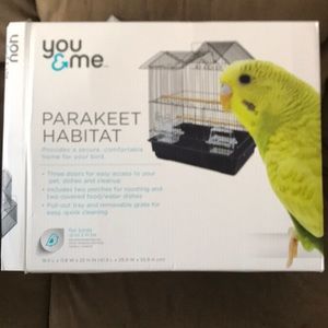 You you & Me parakeet habit